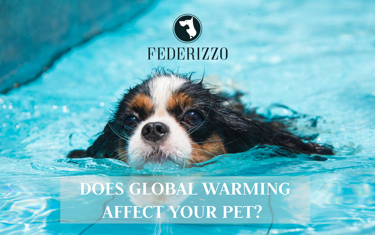 DOES GLOBAL WARMING AFFECT YOUR PET?