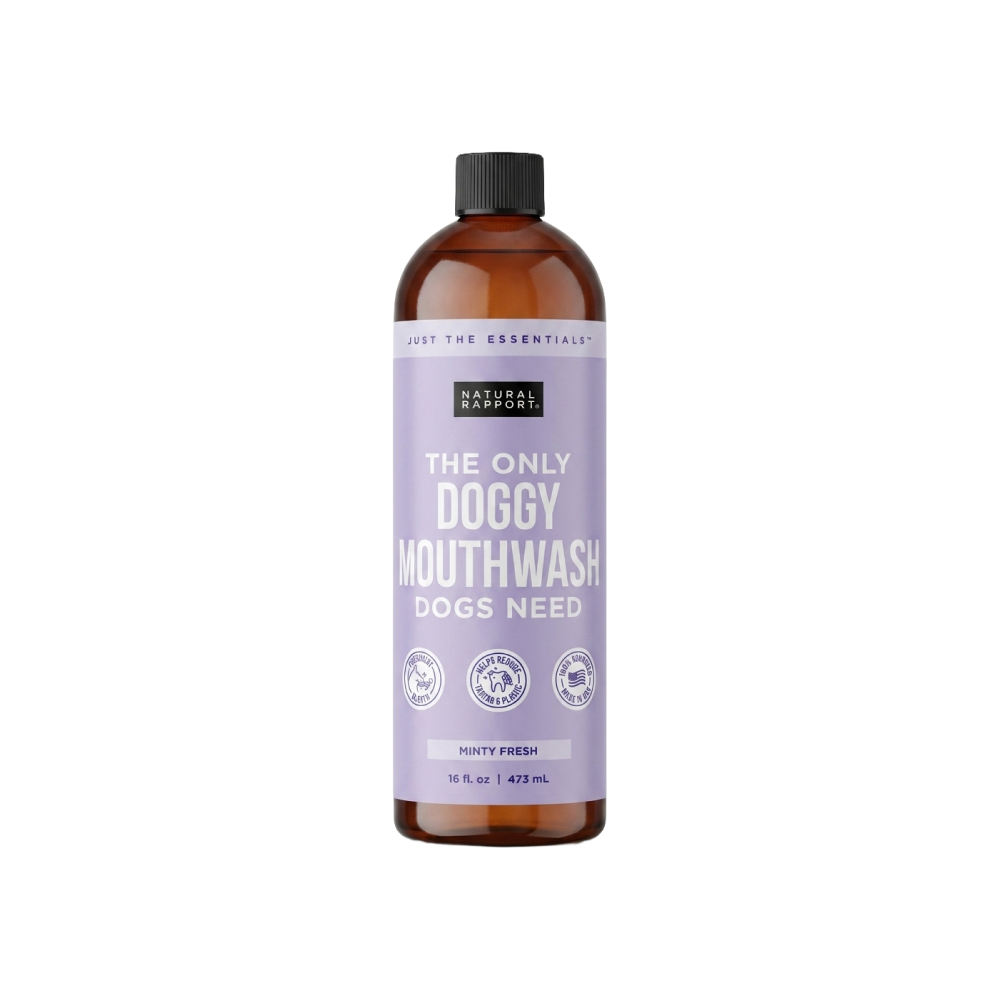 The Only Mouthwash Your Dog Actually Needs