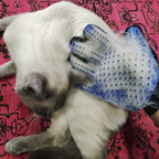 Pet Grooming Glove Brush - fede-rizzo