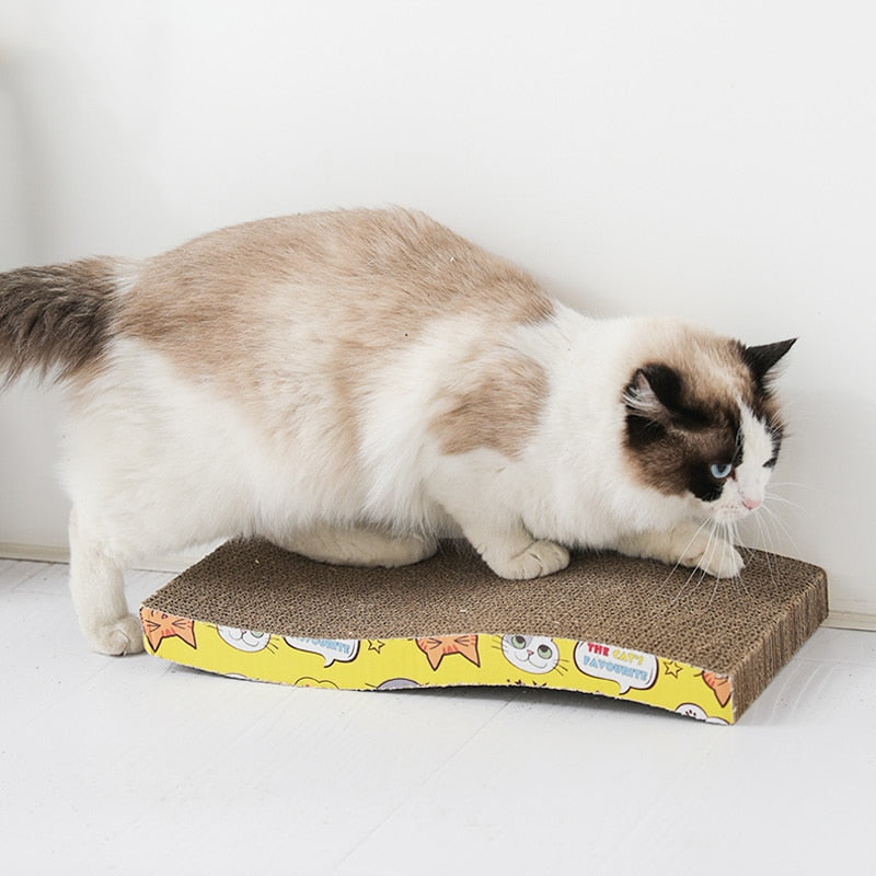 Cat Scratching Board Toys - fede-rizzo