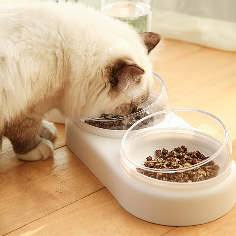 Automatic Double Feeder Bowl For Dog & Cat - fede-rizzo