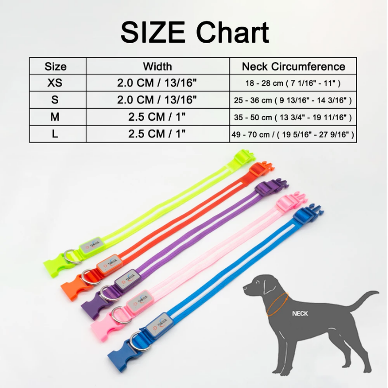 Fashion LED Dog Collar - fede-rizzo