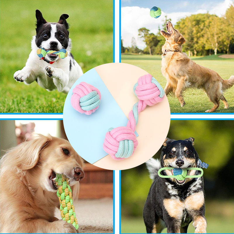 Mini Dog Interactive Cotton Rope - fede-rizzo