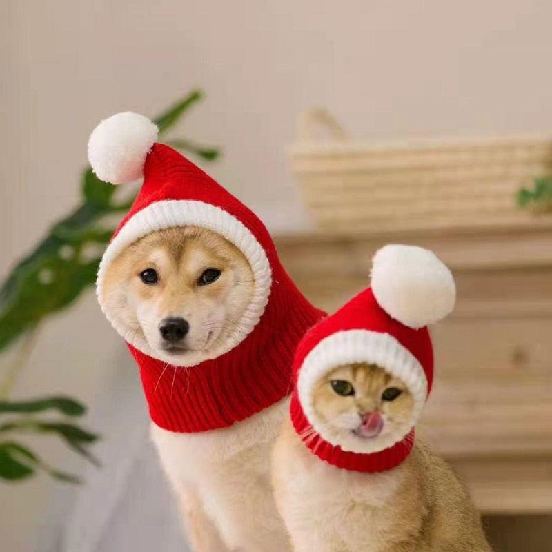 Pet Christmas Hat