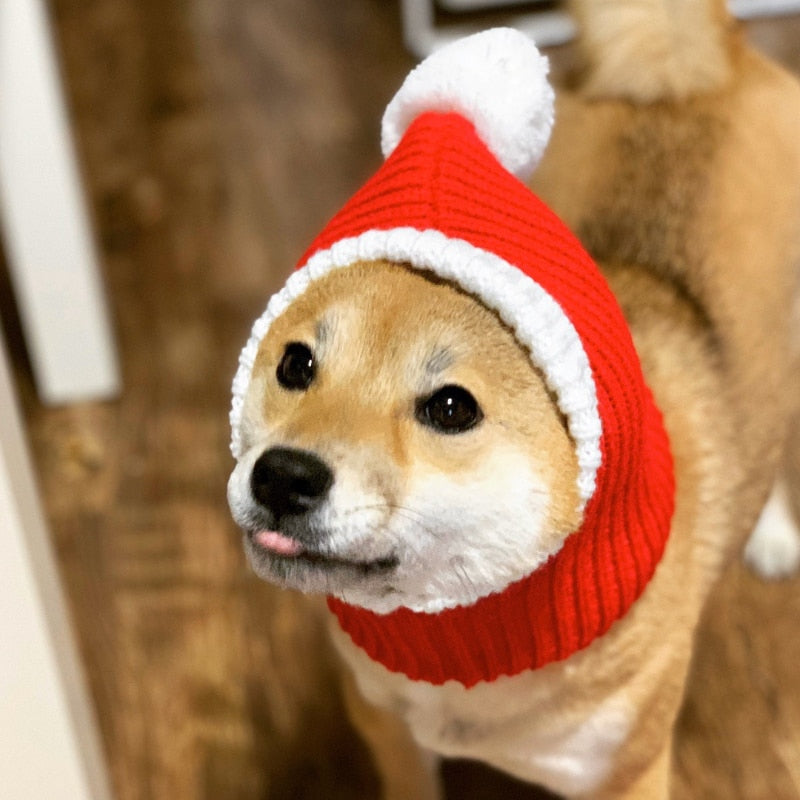 Pet Christmas Hat