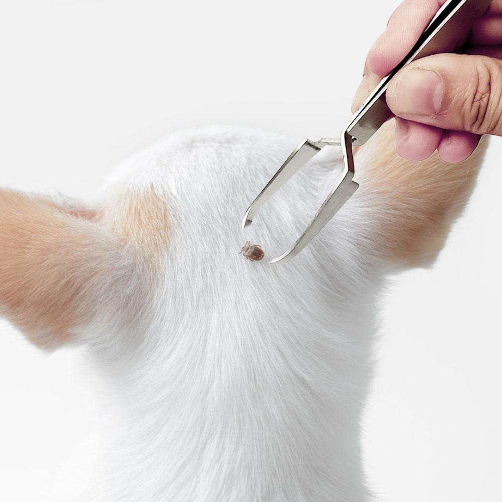 Pet Flea Remover Tool - fede-rizzo
