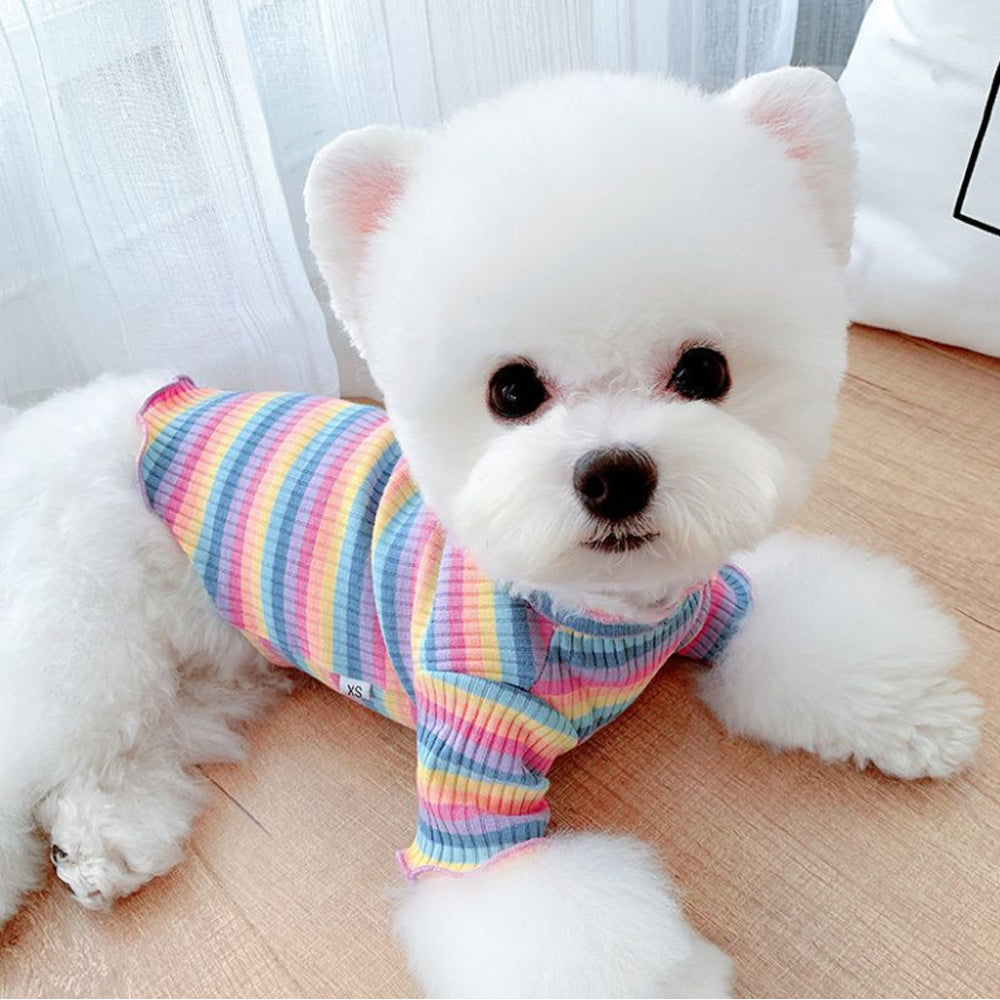 Color Stripes Puppy Vest Clothes - fede-rizzo