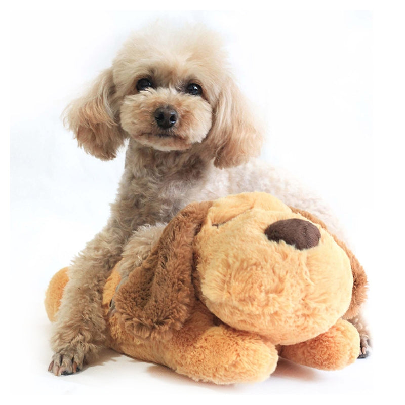 Plush Pet Toy - fede-rizzo