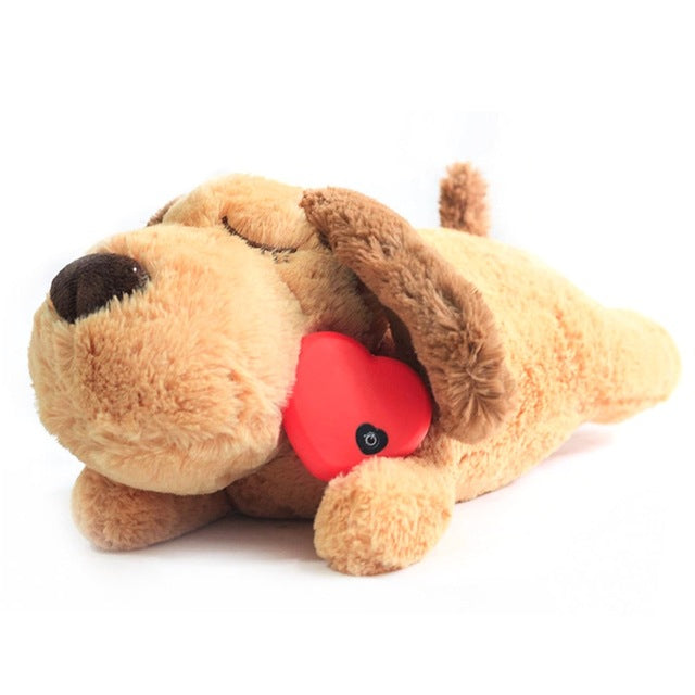 Plush Pet Toy - fede-rizzo