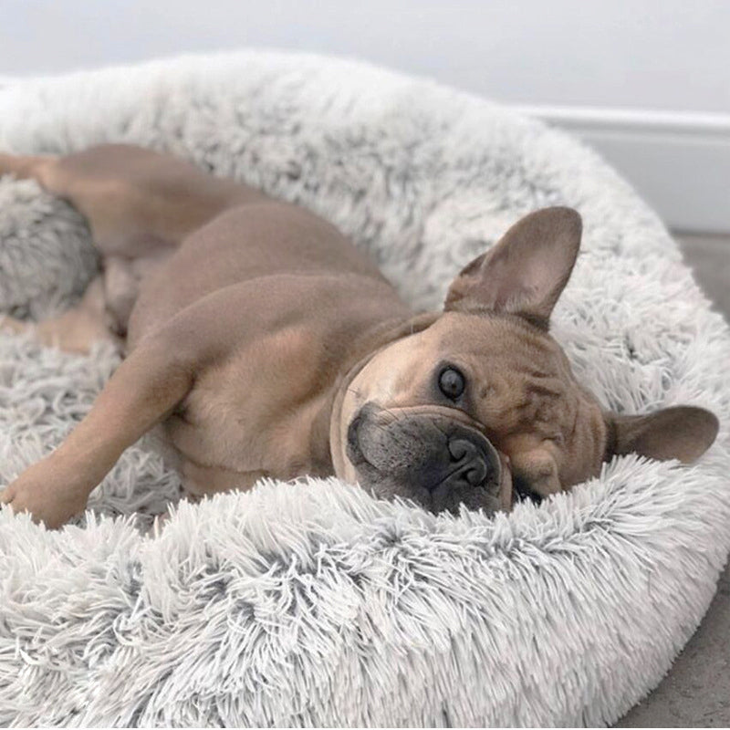 Super Soft Pet Bed - fede-rizzo