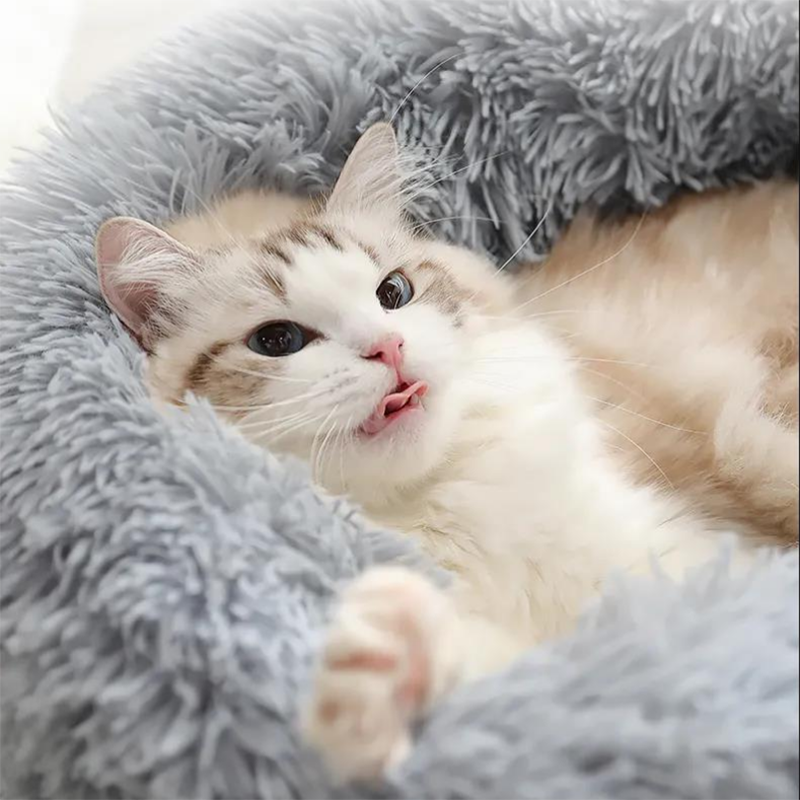 Super Soft Pet Bed - fede-rizzo