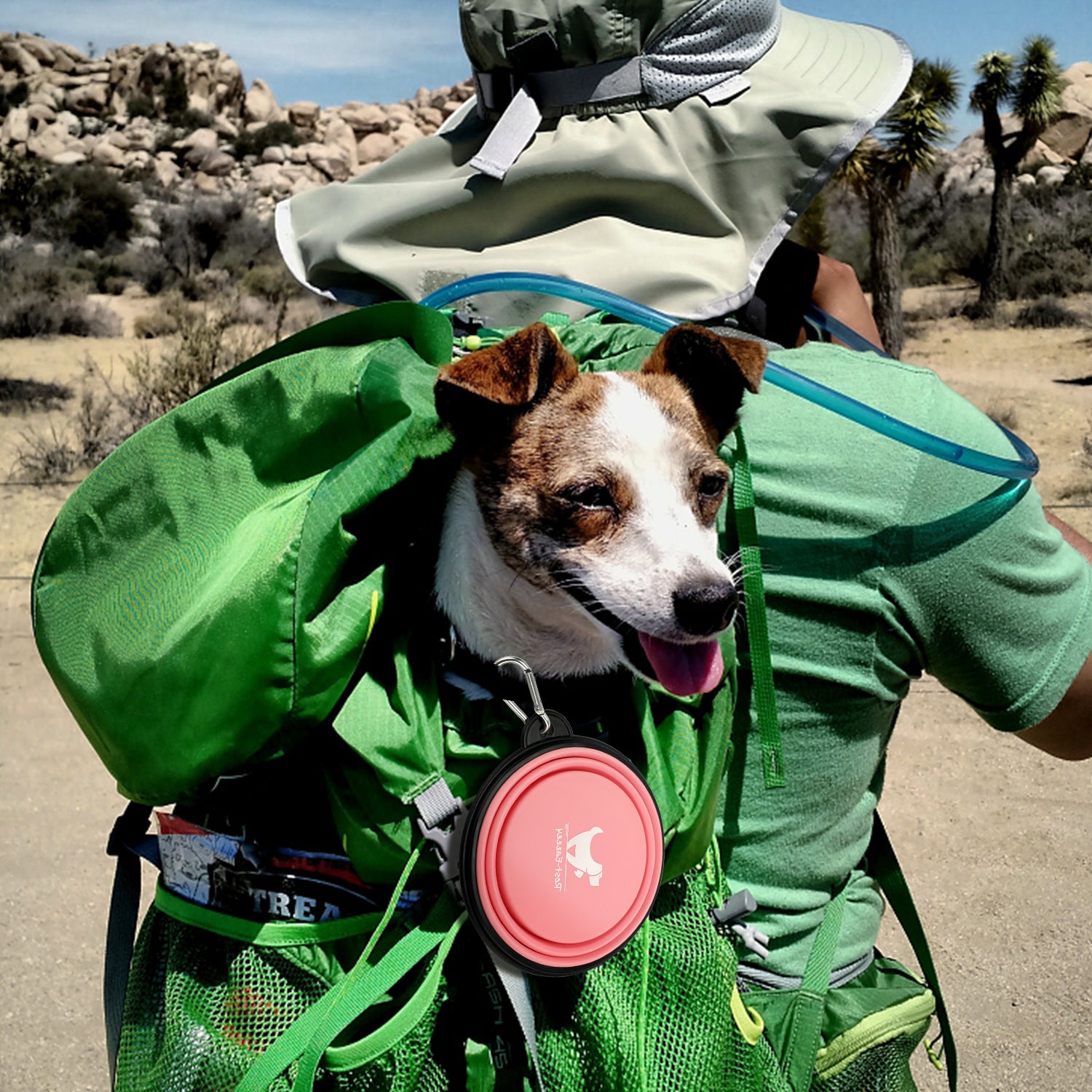 Collapsible Dog Bowl - fede-rizzo