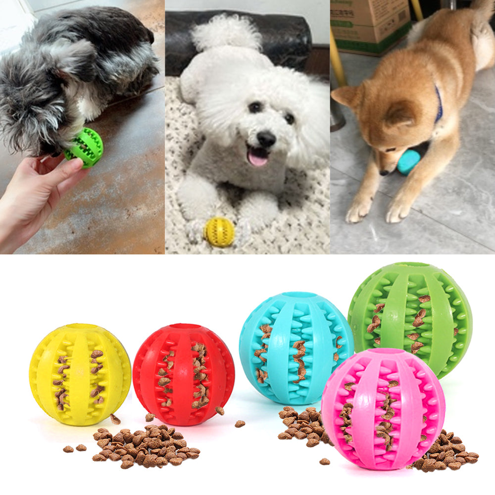 Rubber Pet Ball Toy - fede-rizzo