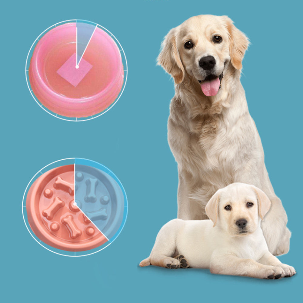 Pet Slow Feeder - fede-rizzo