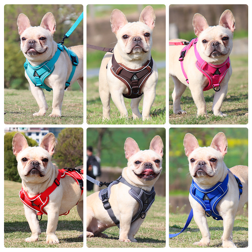 Pet Reflective Nylon Harness - fede-rizzo