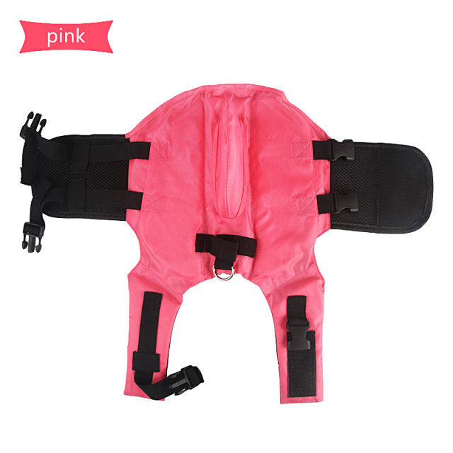 Shark Dog Safety Life Jacket - fede-rizzo