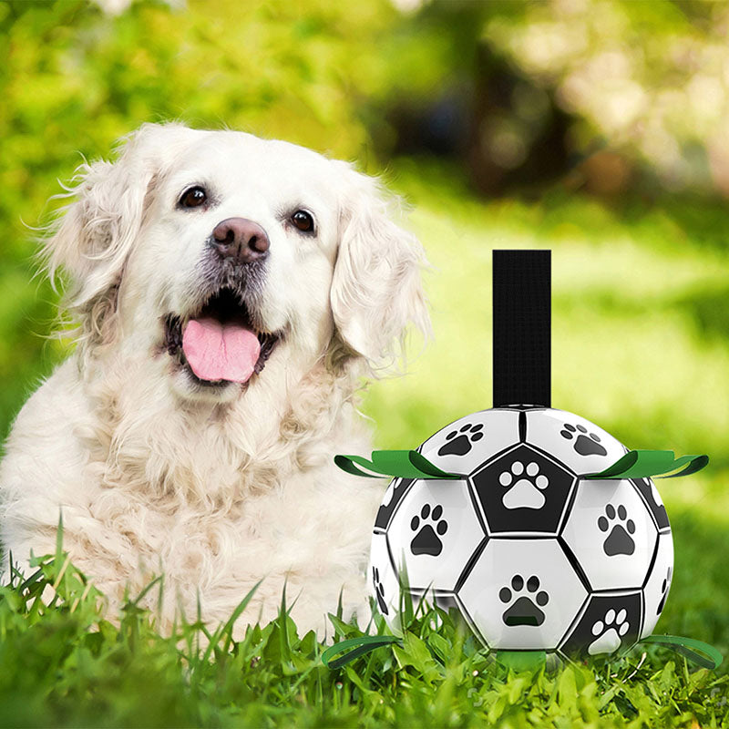 Interactive Pet Football Toy - fede-rizzo