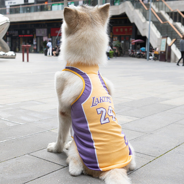 Pet Football Basketball Uniform - fede-rizzo
