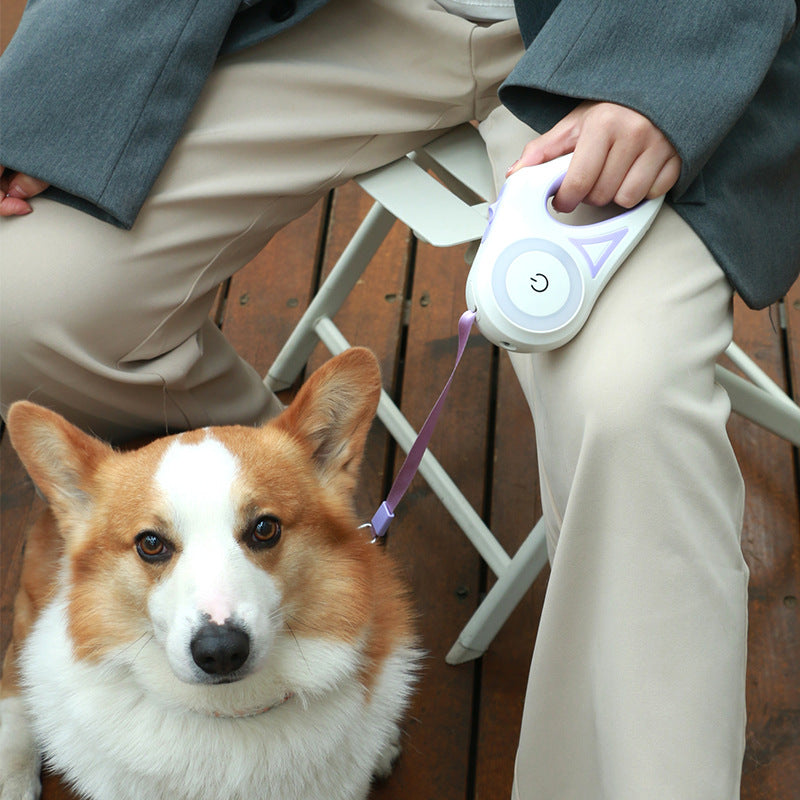 LED Retractable Dog Leash - fede-rizzo