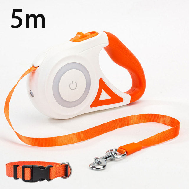 LED Retractable Dog Leash - fede-rizzo