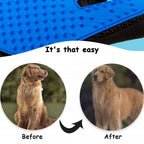 Pet Grooming Glove Brush - fede-rizzo