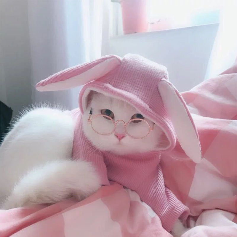 Cute Retro Pet Sunglasses - fede-rizzo