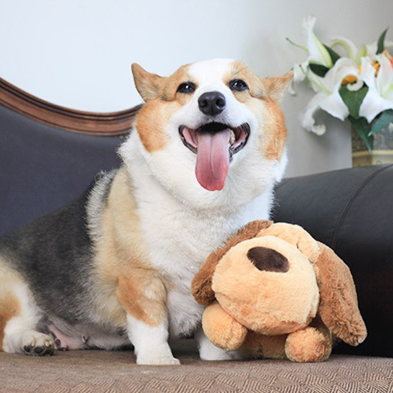 Plush Pet Toy - fede-rizzo
