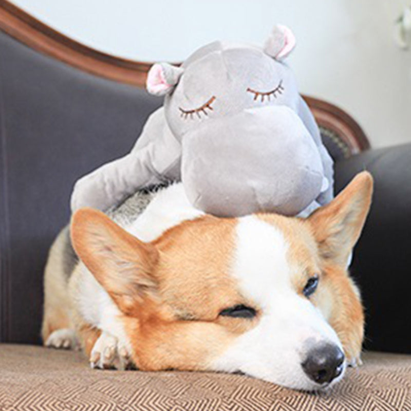 Plush Pet Toy - fede-rizzo