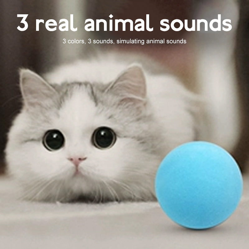 Cat Smart Touch Sound Ball - fede-rizzo