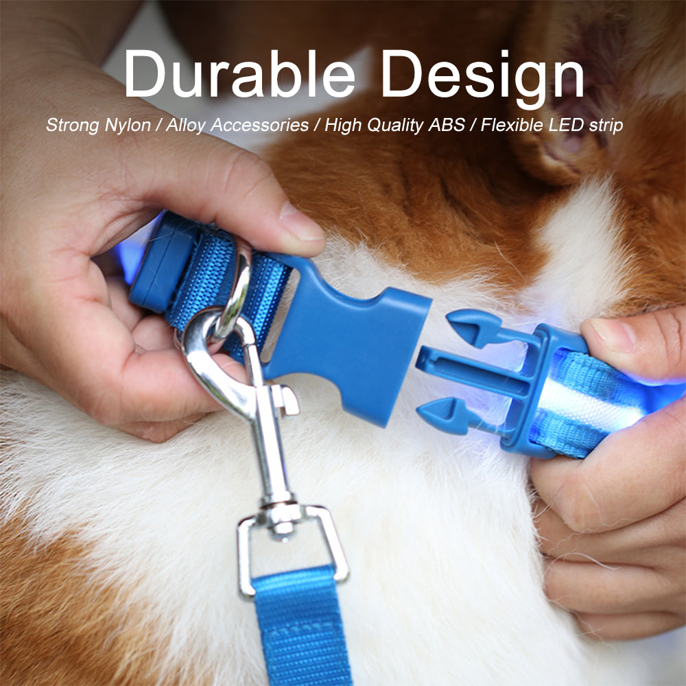 Fashion LED Dog Collar - fede-rizzo