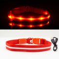 Fashion LED Dog Collar - fede-rizzo