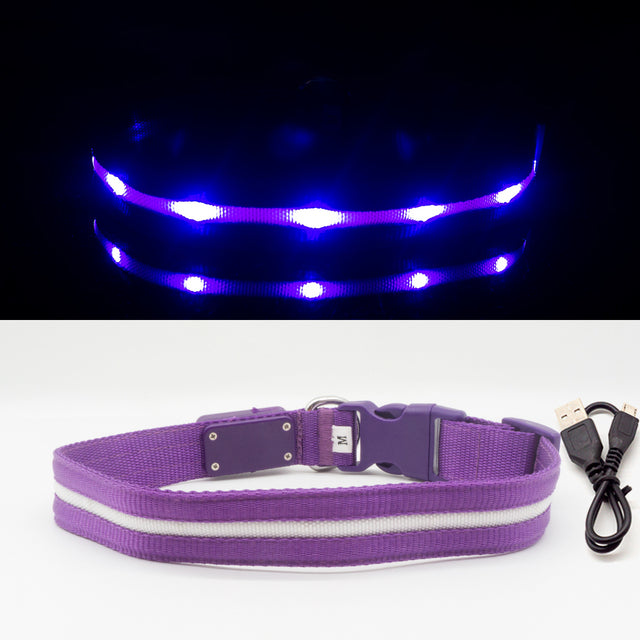 Fashion LED Dog Collar - fede-rizzo