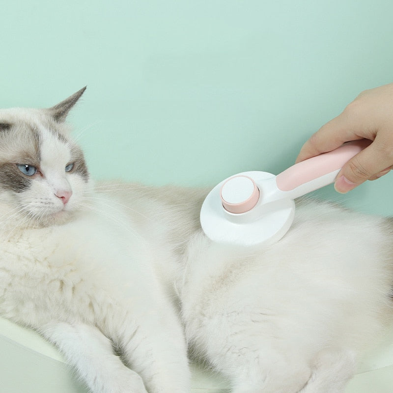 Self Cleaning Slicker Brush - fede-rizzo