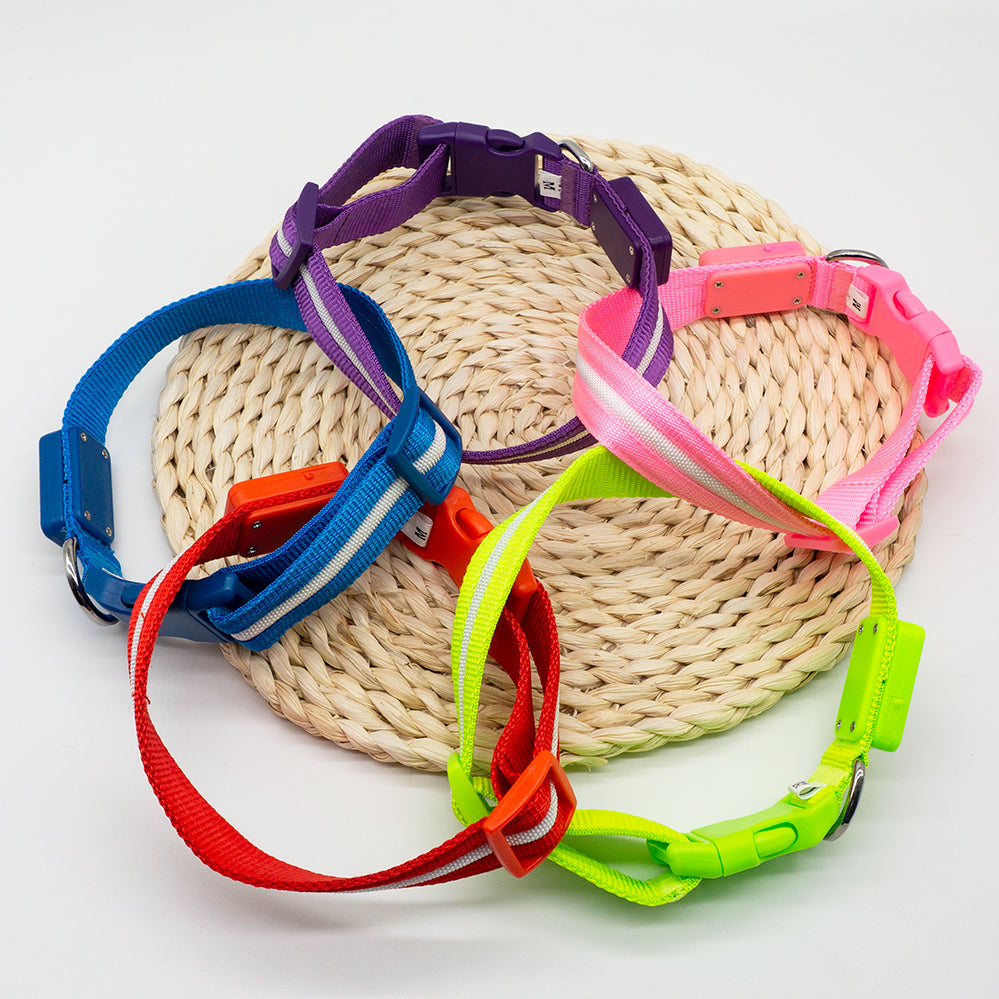 Fashion LED Dog Collar - fede-rizzo