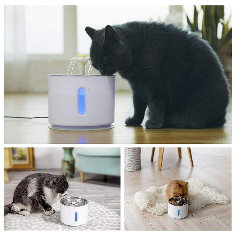 Automatic Water Dispenser For Cats - fede-rizzo