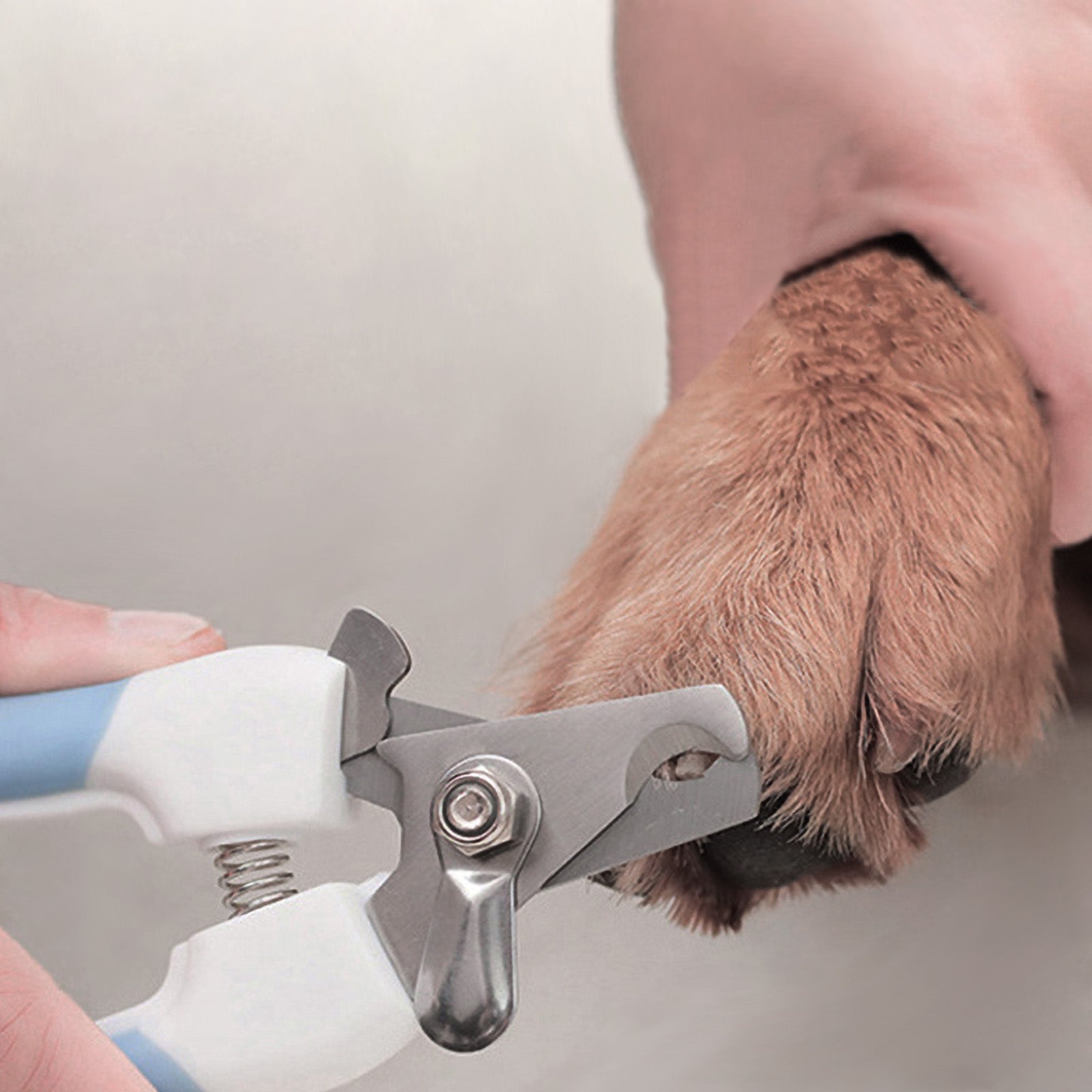 Pet Nail Clipper - fede-rizzo