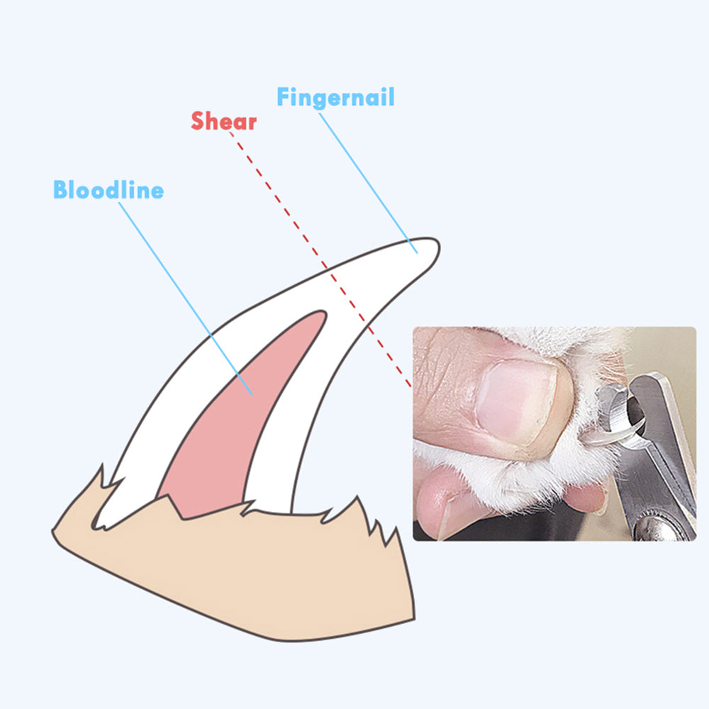 Pet Nail Clipper - fede-rizzo